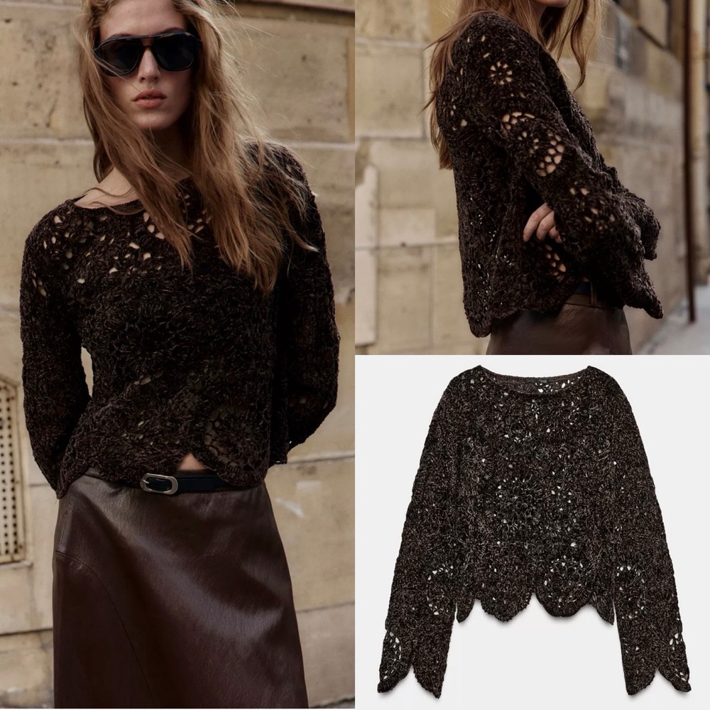 Zara NWT brown knit crochet hollow see through long sleeve top